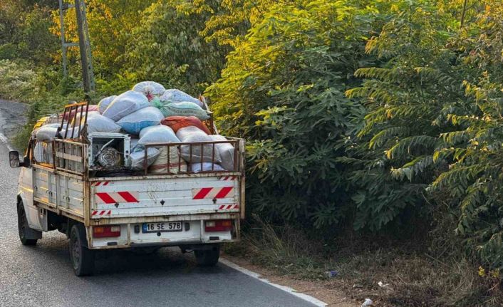 Zonguldak’ta fındık hasında köylüler fındık toplayıcıların gürültüsünden şikayetçi