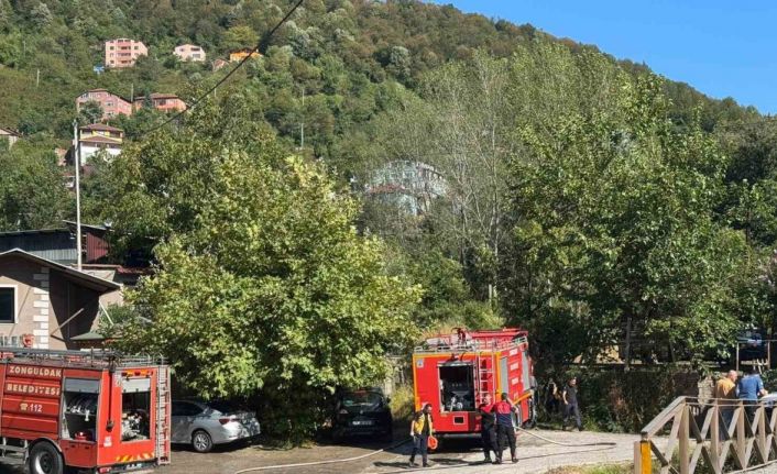 Zonguldak’ta ormanlık alanda çıkan yangın kısa sürede söndürüldü