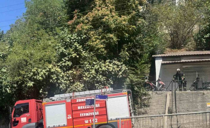 Zonguldak’ta ormanlık alanda çıkan yangın söndürüldü