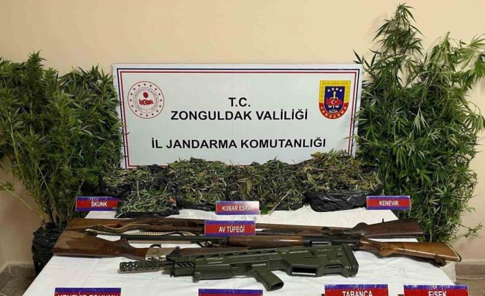 Zonguldak’ta uyuşturucu operasyonu, 1 kişi tutuklandı