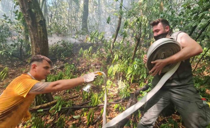 Zonguldak’taki orman yangını kontrol altına alındı