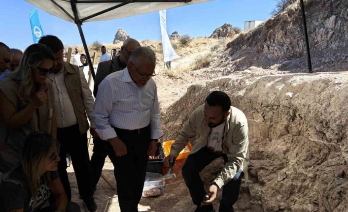 7,7 milyon yıllık kazılarda gelişme: Yeni bir tür olabilir