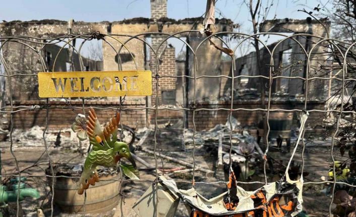 ABD’de orman yangını: 13 bin dönümlük arazi kül oldu