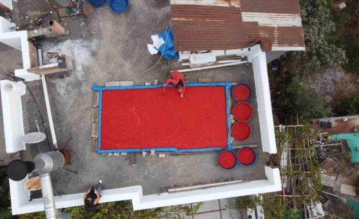 Adana’da damlar kırmızıyla renklendi: Güneşle pişen emek