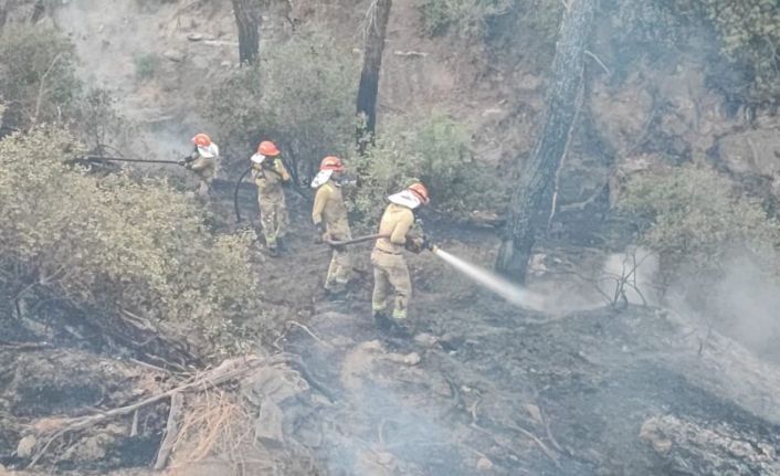 Adana’daki orman yangını kontrol altına alındı