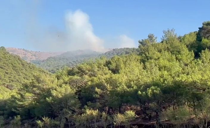 Adıyaman’da korkutan orman yangını