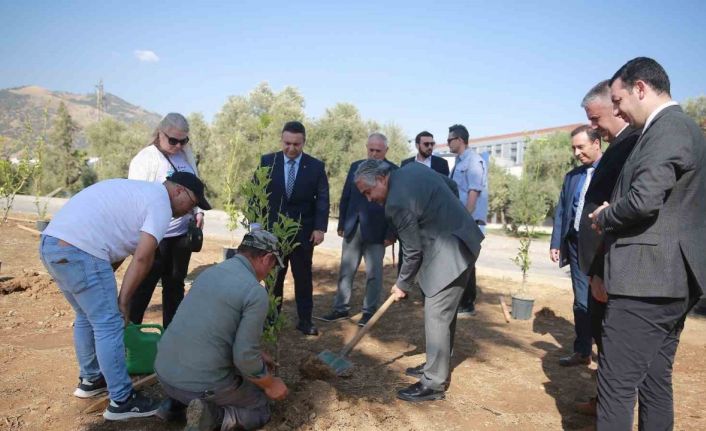ADÜ’de ’Yeşil Kampüs’ çalışmaları devam ediyor