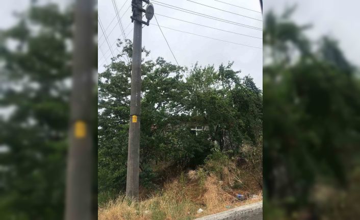 Ağaçların içinden geçen elektrik telleri tehlike saçıyor