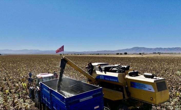 Ağrı’da ayçiçeği üretiminden 758 milyon TL’lik kazanç bekleniyor