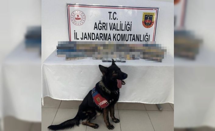 Ağrı’da bin 227 paket gümrük kaçağı sigara ele geçirildi