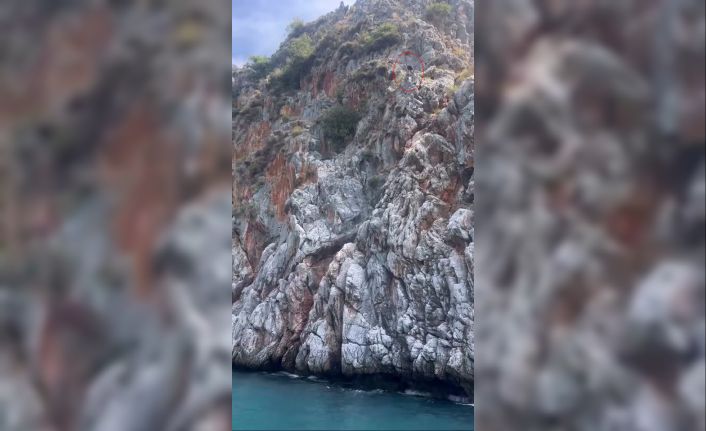 Alanya’da denize ölümüne atlayış