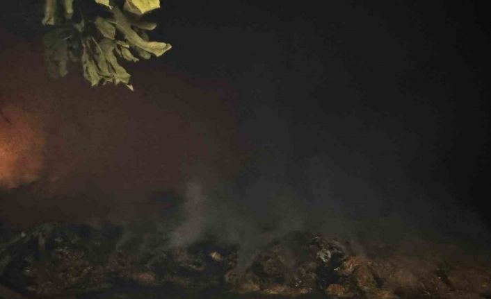 Alevlerin arasında kalan mahallede soğutma çalışmaları gece boyunca devam etti