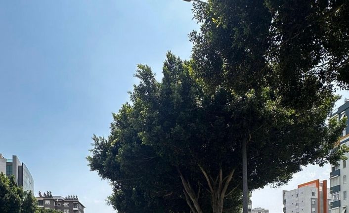 Antalya’da son 1 haftada 16 bin 155 araç ve sürücüsüne ceza kesildi