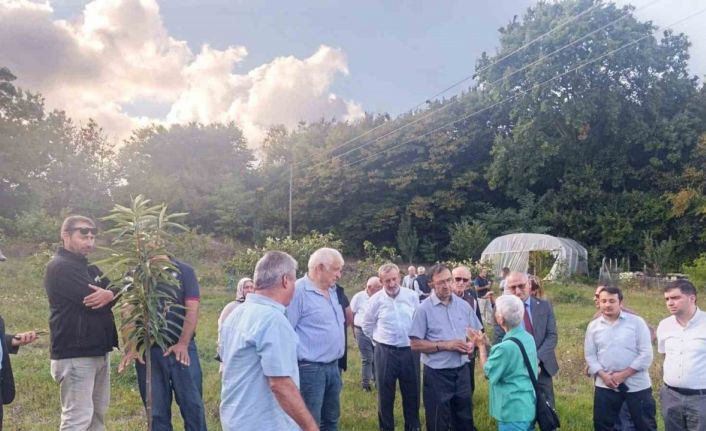 Arıcılar ve akademisyenler kestane balının geleceğini konuştu