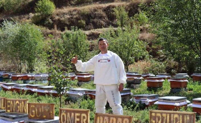 Arılarına yazmayı öğretti