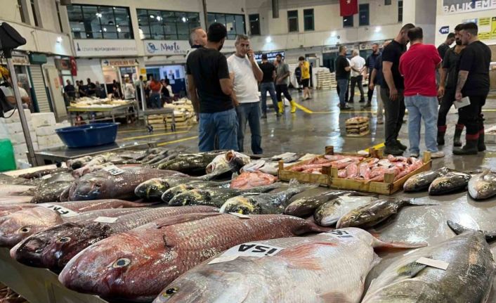 Av sezonu başladı, İzmir Balık Hali bereketle doldu