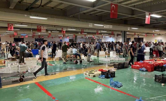 Av yasağının bitmesiyle İstanbul’da balıkçılık sezonu resmen başladı