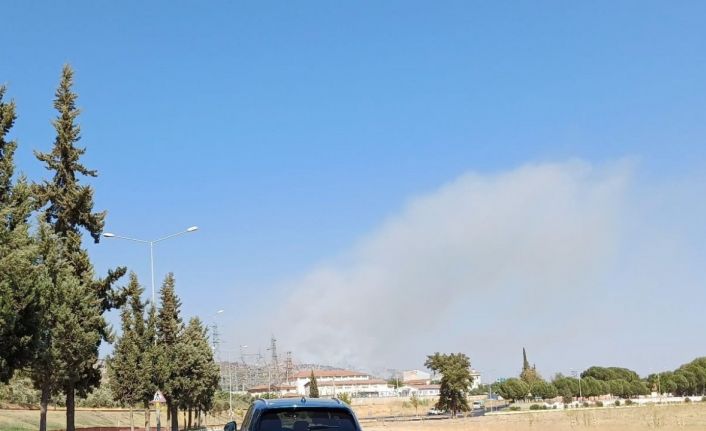 Aydın’da zirai alan yangını