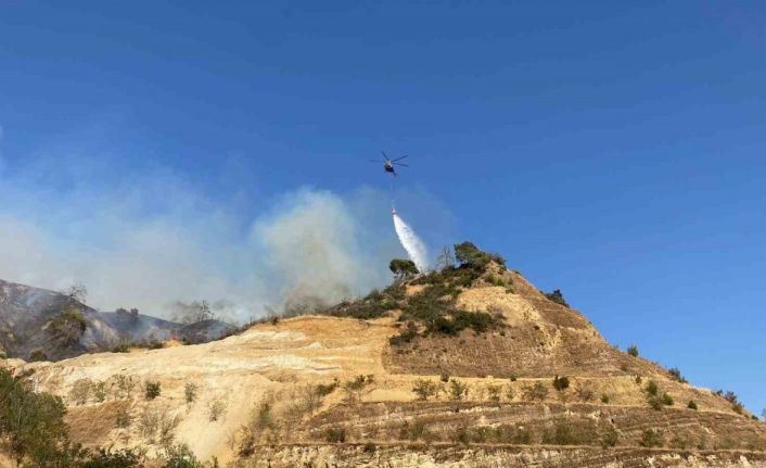 Aydın’daki yangını söndürme çalışmaları sürüyor