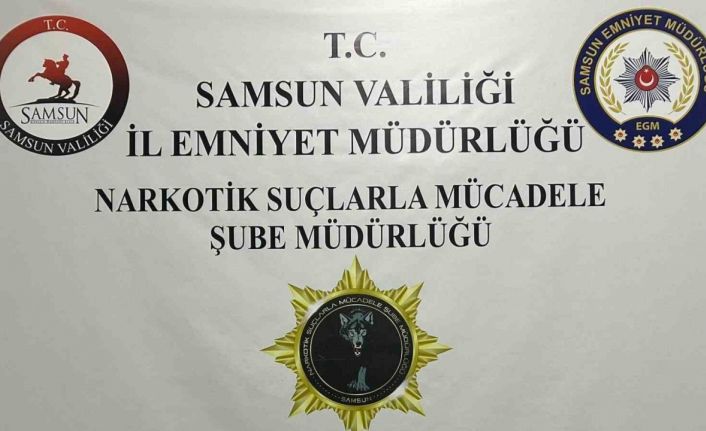 Bafra’da 33 kök Hint keneviri ele geçirildi