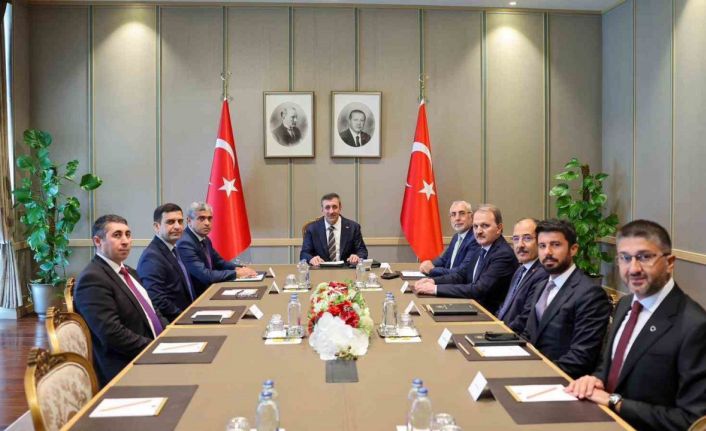 Bakan Işıkhan, Azerbaycan Çalışma ve Halkın Sosyal Koruması Bakanı Aliyev ile bir araya geldi