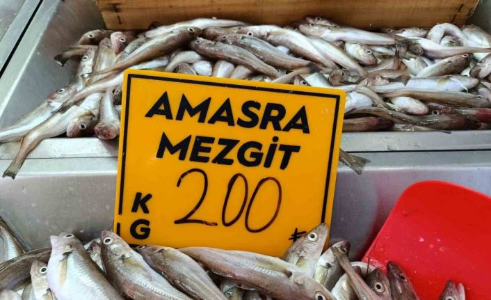 Balıkçılar palamut için "kestane karası"nı bekliyor