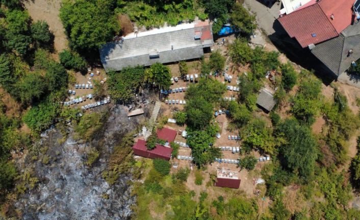 Bartın yangınında soğutma çalışmaları tamamlandı