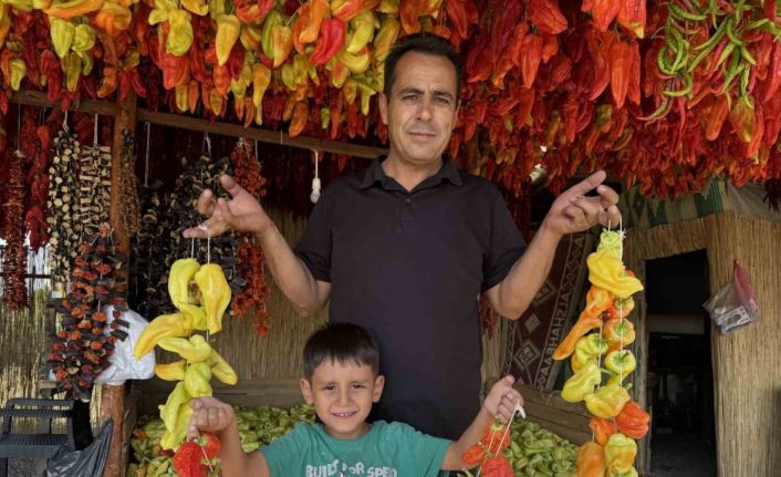 Başkan Sağınç tescilli Kale Biberini tanıtmak için ailesiyle birlikte kolları sıvadı