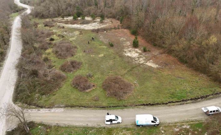 Başkan Yardımcısı Yıldız: "Bu hayvanlar, can dostlarımız"