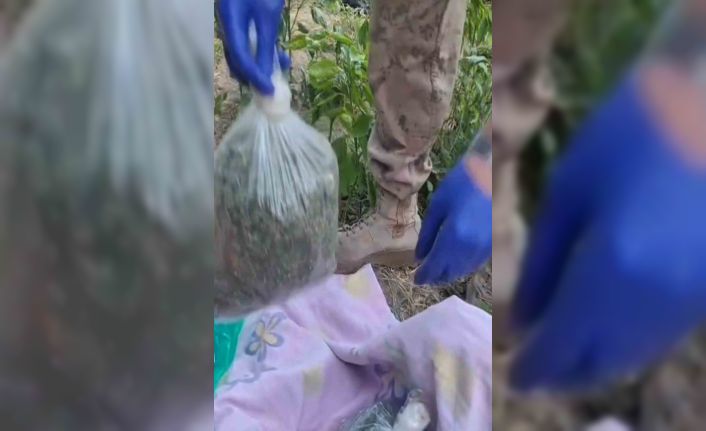 Batman’da uyuşturucu operasyonu: 1 tutuklama