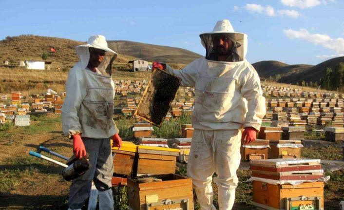 Bayburt’ta arıcıların bal hasadı sürüyor