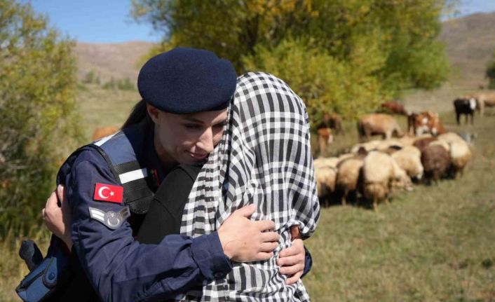 Bayburt’ta kaybolan 13 koyun jandarma ekiplerince dağda bulundu
