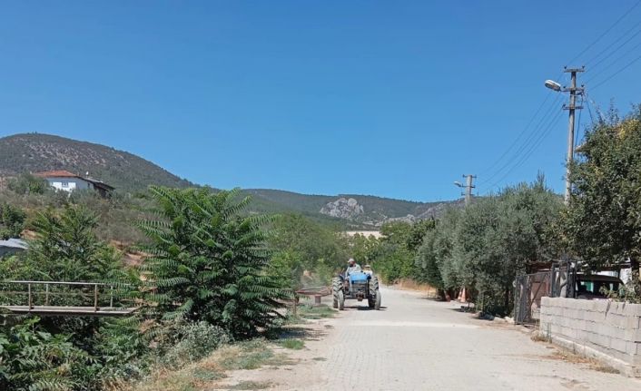 Bayırköy’de yabani otlar temizlendi