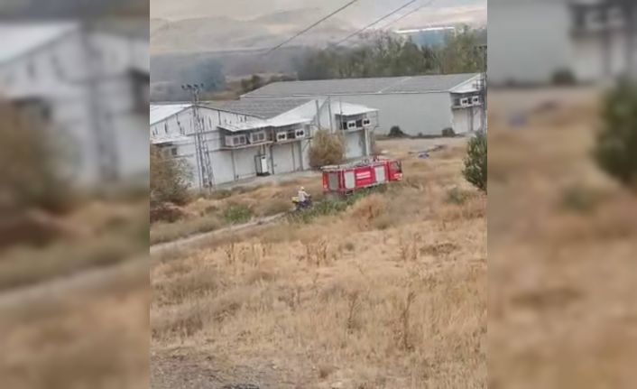 Beypazarı’nda otluk alanda yangın