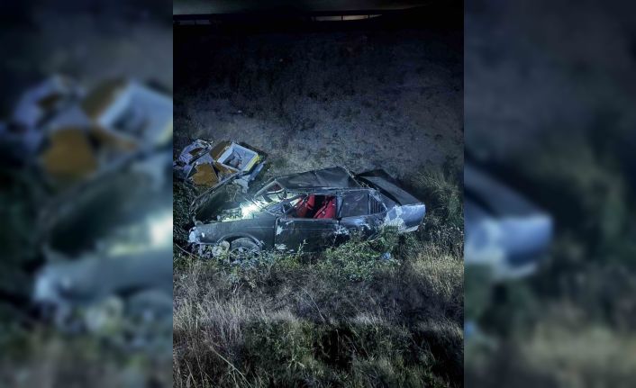 Bilecik’te kontrolden çıkan otomobil şarampole uçtu