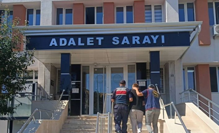 Bilecik’te nitelikli dolandırıcılık operasyonu