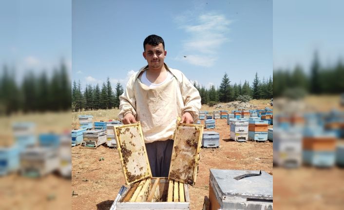 Bilgisayar programcısı genç, sevdiği baba mesleği arıcılığı tercih etti