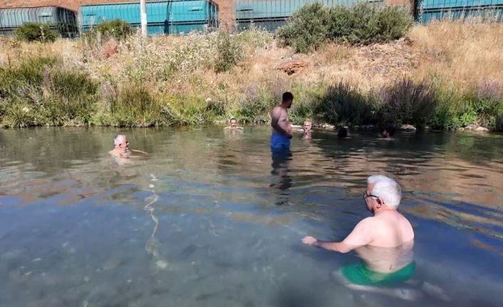 Bilinçsiz piknikçiler dünyaca ünlü doktor balıkları tehdit ediyor