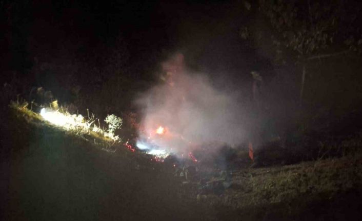 Bingöl’de çıkan yangın söndürüldü