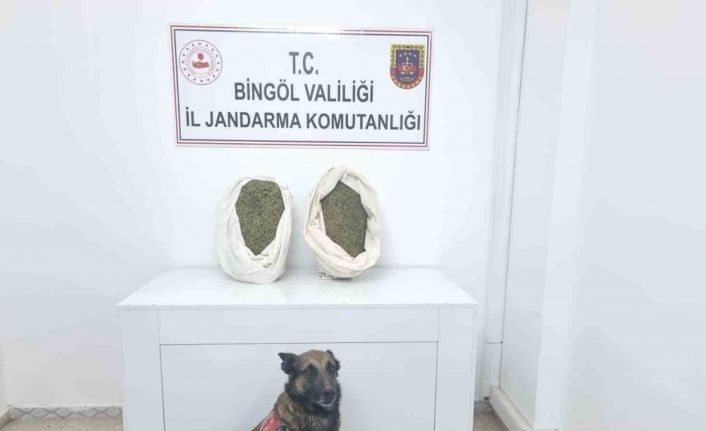 Bingöl’de jandarma ekipleri 10 kiloya yakın esrar ele geçirdi