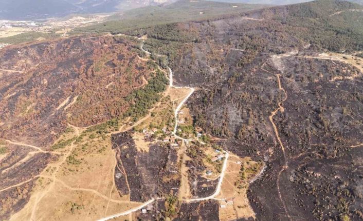 Bir ayda iki kez yangının arasında kalan köy dronla görüntülendi