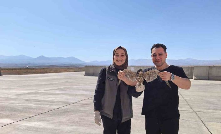Bitkin halde bulunan yaralı Delice Doğan tedavi altına alındı