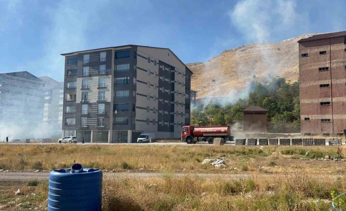Bitlis’te çıkan yangın ağaçlara zarar verdi