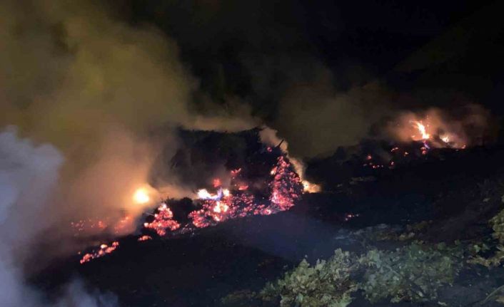 Bitlis’te çıkan yangında ot yığınları kül oldu