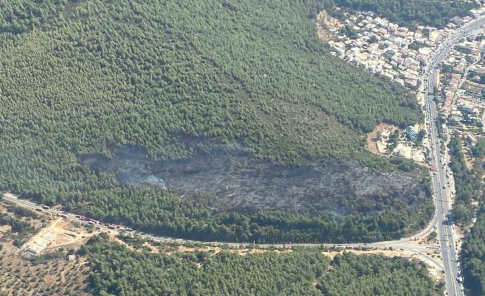 Bodrum orman yangını kontrol altına alındı