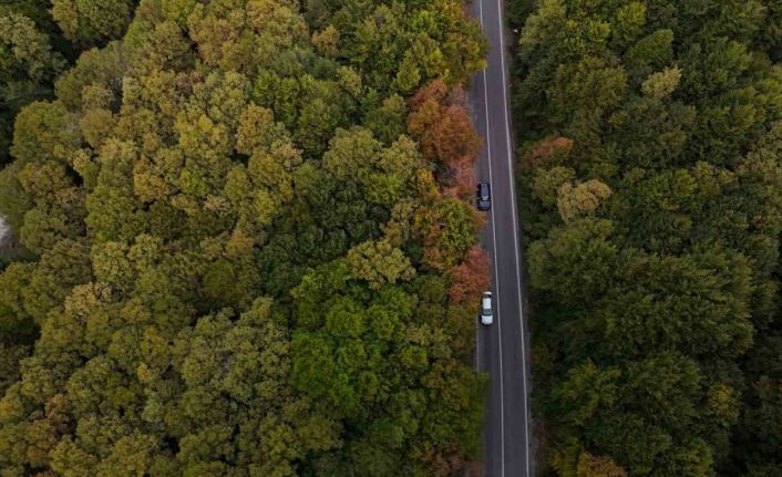 Bolu-Seben yolunda muhteşem sonbahar güzelliği