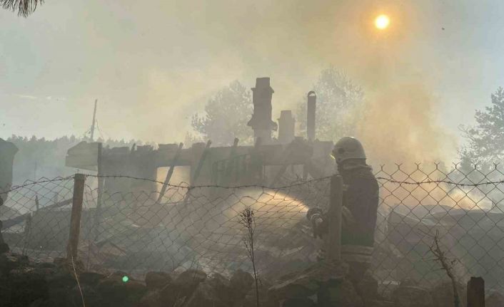 Bolu’da 12 yapıyı kül eden yangın kundaklama çıktı: Şüpheliler itiraf etti