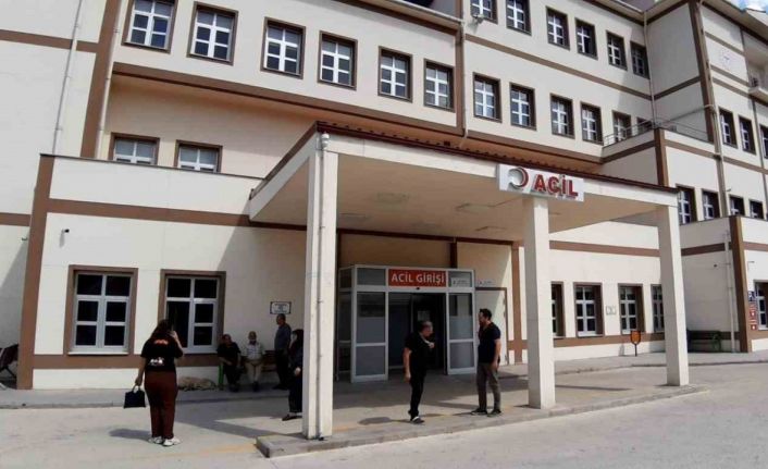 Bolu’da ayı saldırısında 1 kişi yaralandı: Saldırı sonrası av kararı