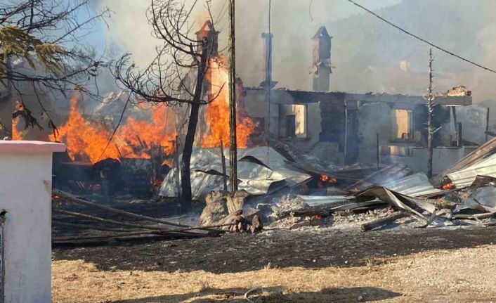 Bolu’da yaylada 12 yapı küle döndü: Kundaklama şüphesi