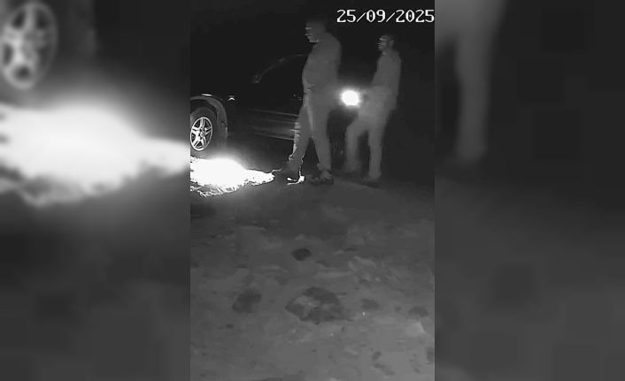 Boz ayı avlayan iki avcı fotokapana yakalandı